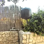 Boa *