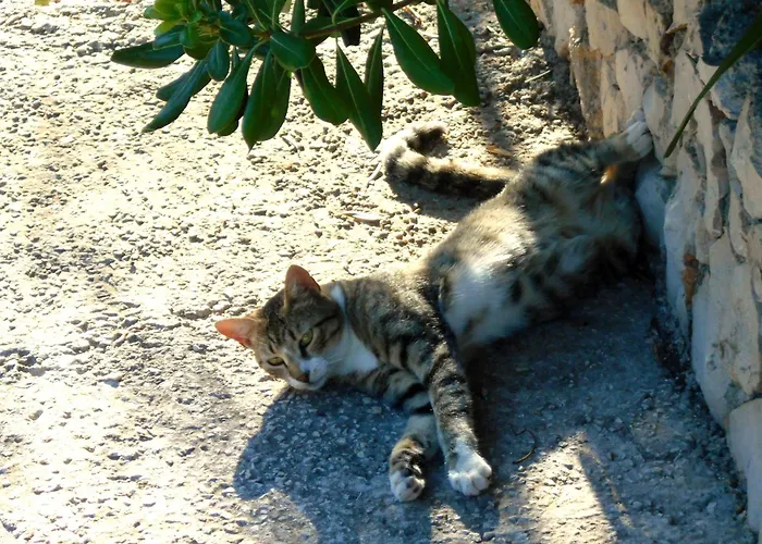 Boa Lägenhet Slatine